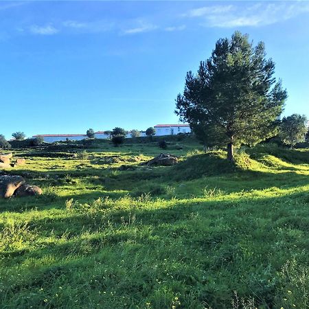 Apartamento En Roses Parking Y Piscina Comunitaria Av-54 Eksteriør billede